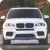 X5 Racing Simulator APK