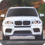 ”X5 Racing Simulator