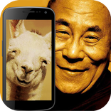 Animal by Face Simulator