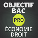 Objectif BAC PRO Droit/Eco APK