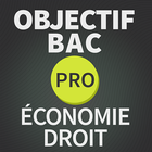 Objectif BAC PRO Droit/Eco icône