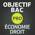 Icona Objectif BAC PRO Droit/Eco