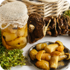 Блюда с грибами icône