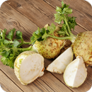 Блюда с корнем сельдерея Рецепты с фото APK