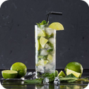 Мохито Рецепты с фото-APK