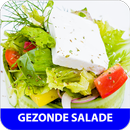 Gezonde salades recepten app nederlands gratis APK