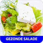 Gezonde salades recepten app nederlands gratis иконка
