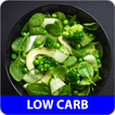 Low carb recepten app nederlands gratis