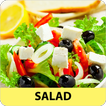 Salad recipes app offline