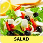 Salad recipes 图标