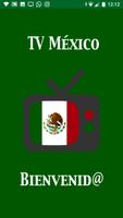 TV México Affiche
