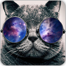 Cool Wallpapers HD Free APK