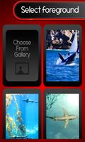 برنامه‌نما Lock Screen - Sea Creatures عکس از صفحه