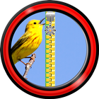 Icona Blocco dello schermo - uccelli cantanti