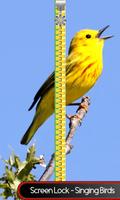 Screen Lock - Singing Birds poster