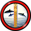 Zipper Lock Screen – Dolphins