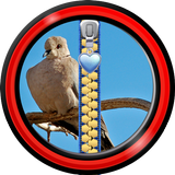 Zipper Lock Screen – Doves icon