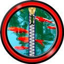 Zipper Lock Screen - Koi Fish APK