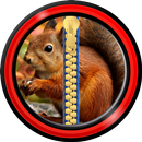 Zipper Lock Screen – Squirrel APK