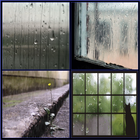Icona Rain Live Wallpaper