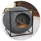 Cool Cat House Designs icône