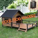 APK Cool Dog Houses 2017