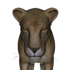 Safari Slots icône
