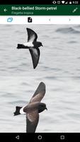 Antarctic Wildlife Guide Ekran Görüntüsü 1