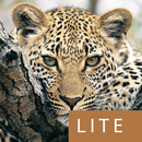 Mammals of SA Lite APK