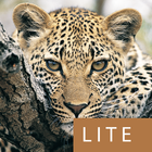 Mammals of SA Lite icon