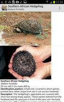 Mammals of SA Lite capture d'écran 2