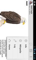 Sibley Birds - Lite captura de pantalla 3