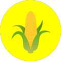 Sistem Pakar Jagung