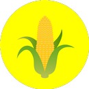 Sistem Pakar Jagung APK