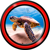 Underwater Live Wallpapers icon