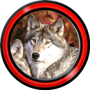 loup live wallpapers APK