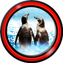 動物は壁紙を生きます APK