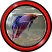 Aquarium Live Wallpapers for Android™