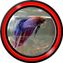 fonds d'écran en direct d'aquarium pour android ™ APK