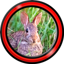 lapin de live wallpapers APK