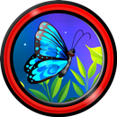 papillon live wallpapers APK