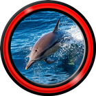 живые обои дельфин иконка