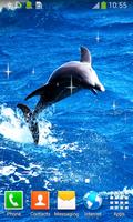 Dolphin Live Wallpapers syot layar 2