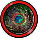 羽ライブ壁紙 APK