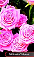rosas cor de rosa Live Wallpap Cartaz