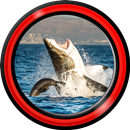 requin live wallpapers APK