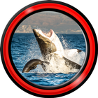 Shark Live Wallpapers icon