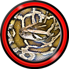 ikon ular wallpaper hidup