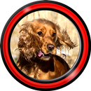 süßen Hund Live-Wallpaper APK
