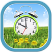 Alarm Ringtones APK